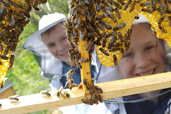 Kinder, Kinder - diese Bienen...!